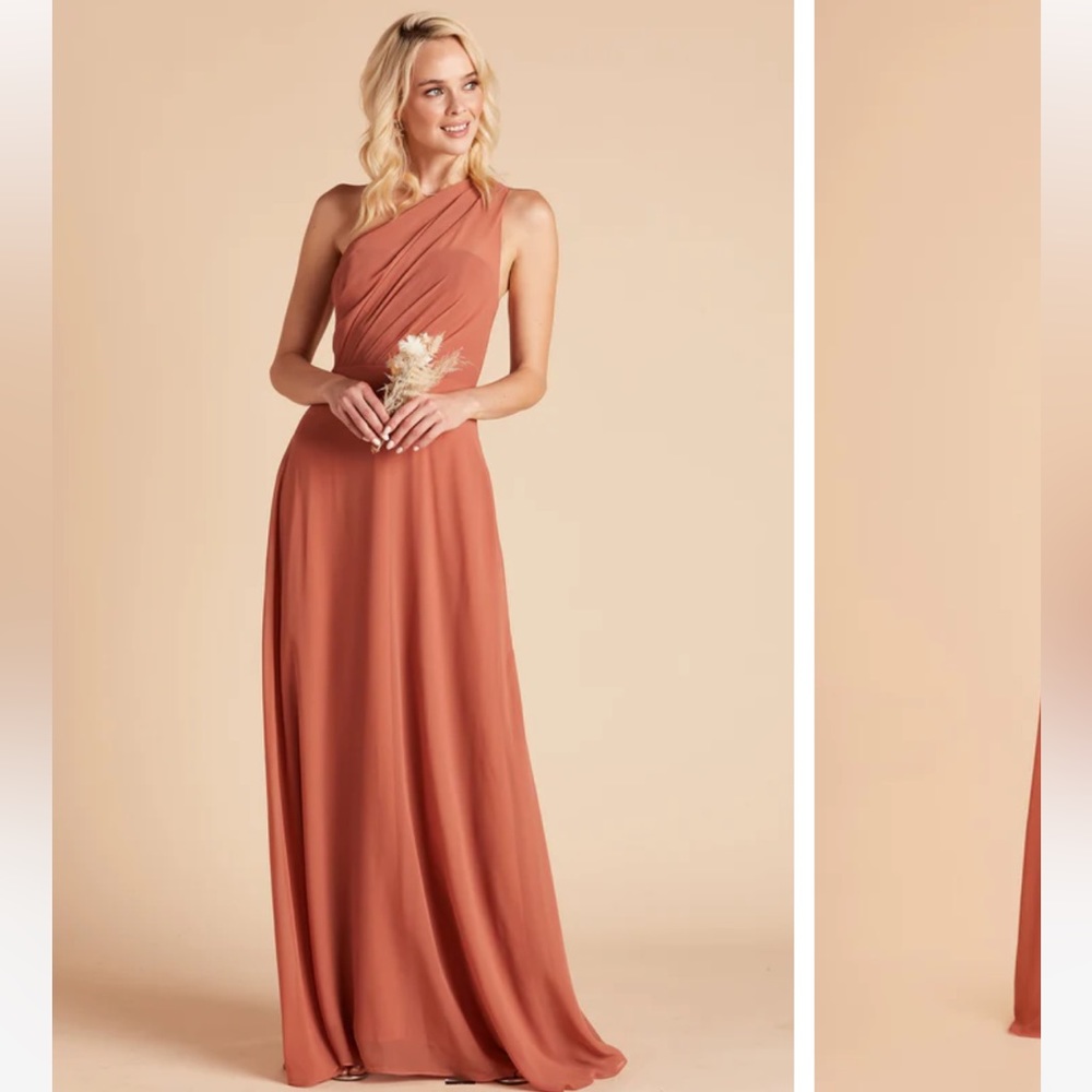 Birdy Grey Kira Dress (Terracotta)